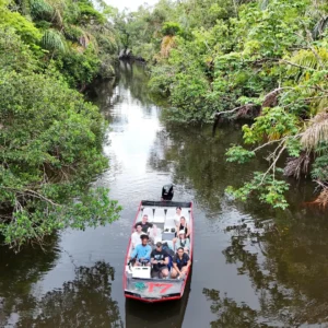 Boat Tour