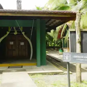 Tortuguero History Tour