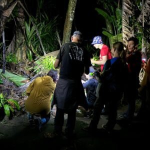 Night Walking Tour